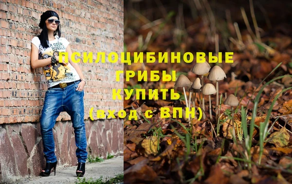 амфетамин Новодвинск