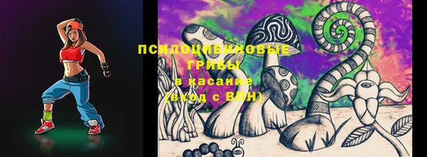 mdma Новозыбков